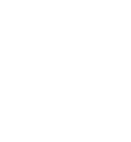 light logo